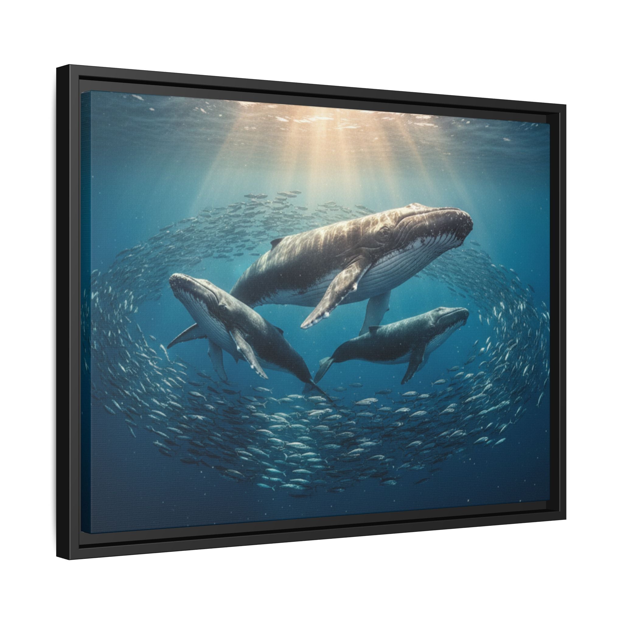 Whale Family Canvas Wall Art - Framed - Stunning