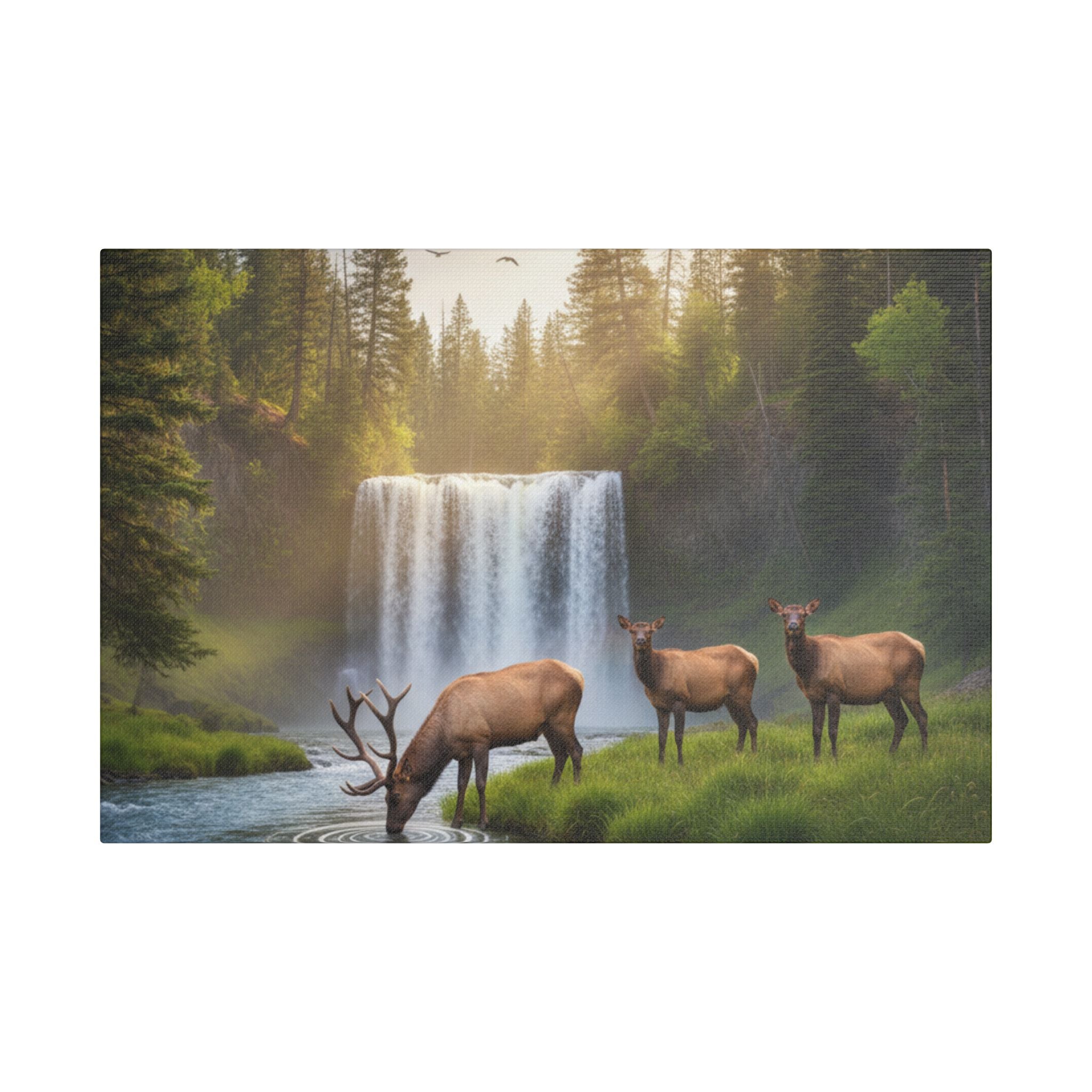 Waterfall Elk Canvas