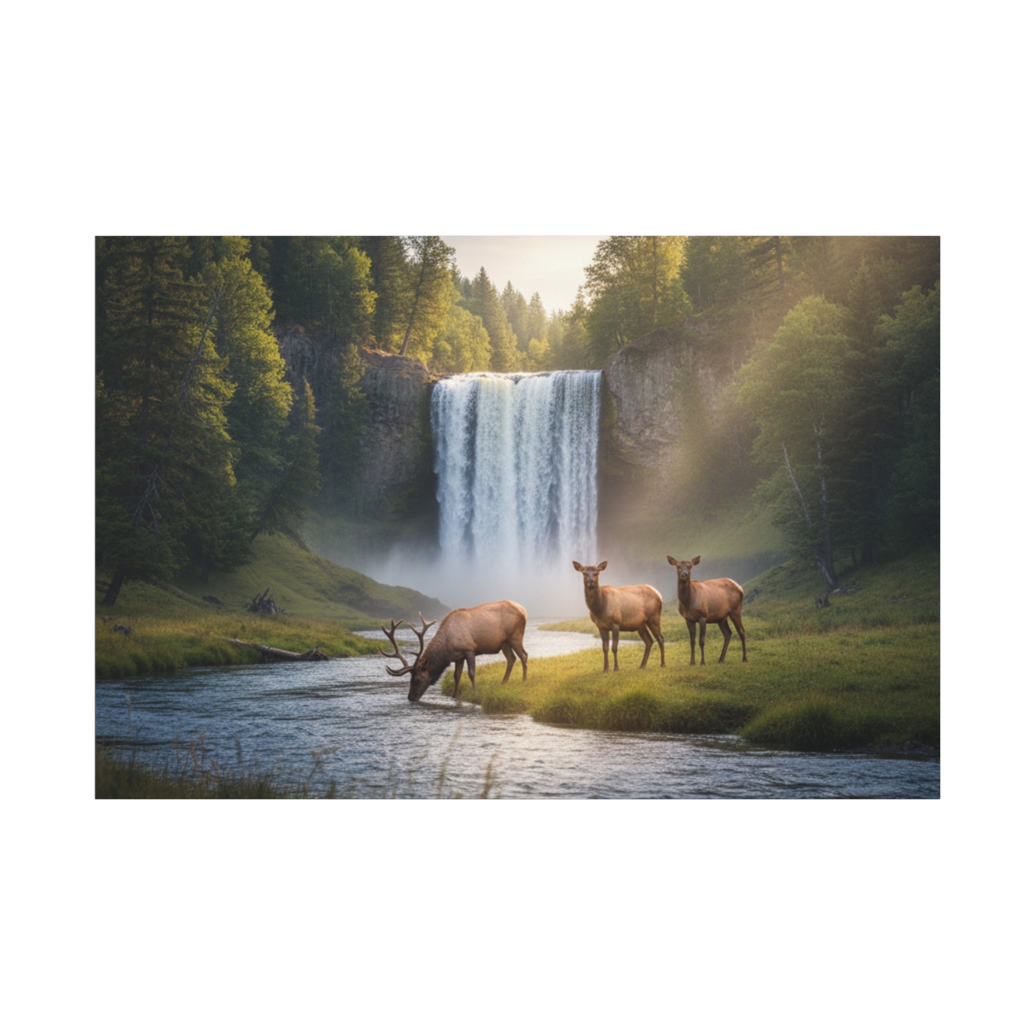 Waterfall Elk Canvas Print — Matte Stretched Wall Art