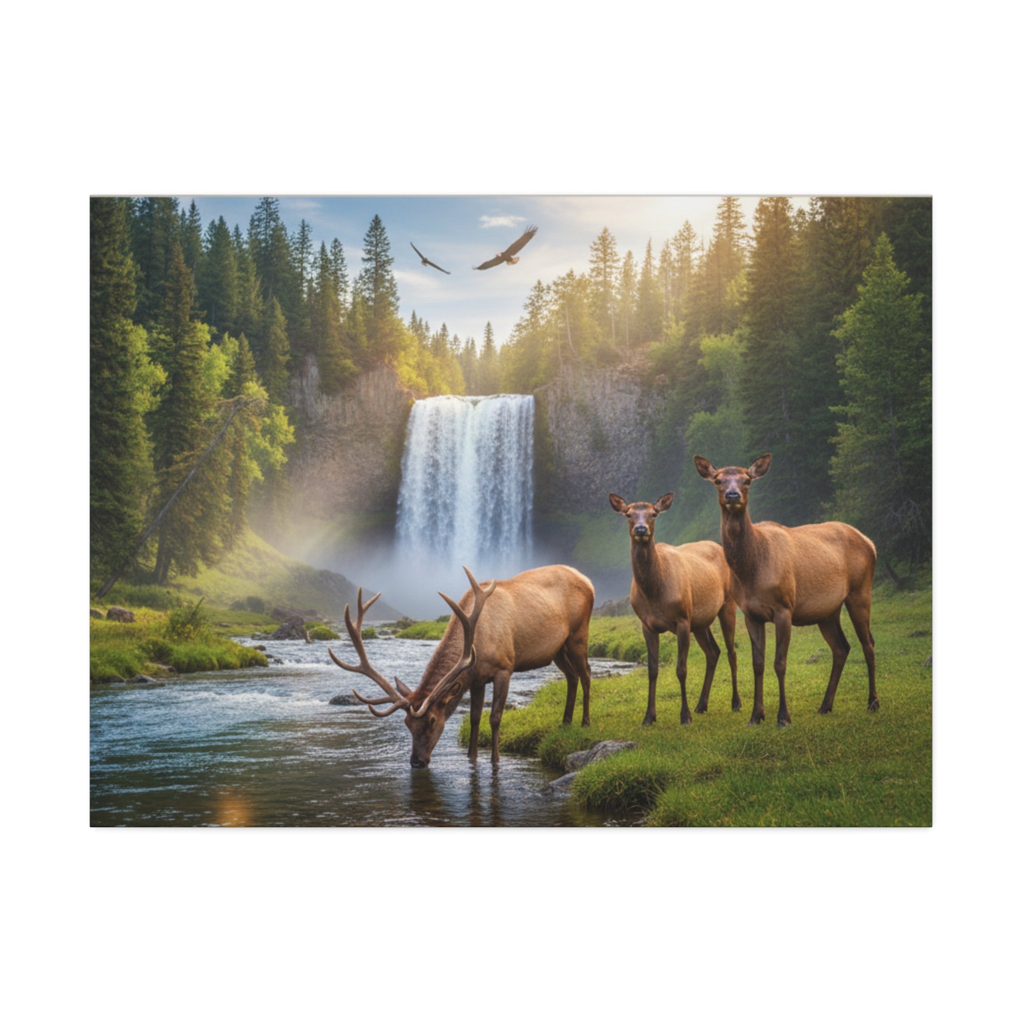 Elk Waterfall Canvas Print — Serene Wildlife Landscape Wall Art, 1.5" Stretched