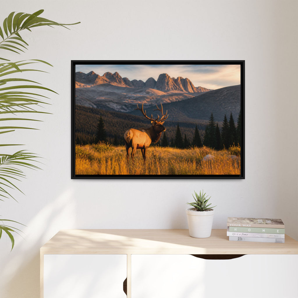 Elk Golden Hour Canvas Wall Art Print Ready to Hang