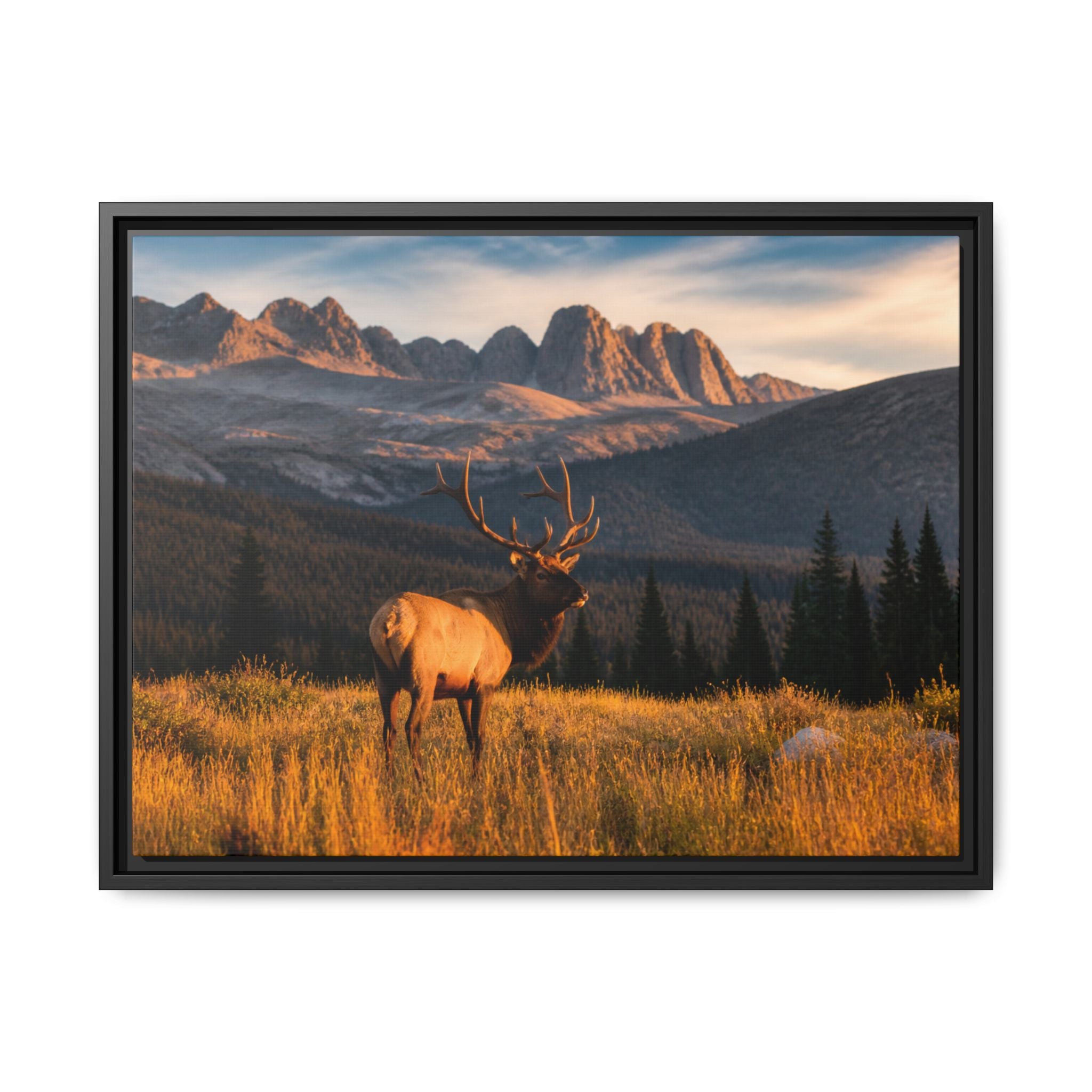 Elk Golden Hour Canvas Wall Art Print Ready to Hang