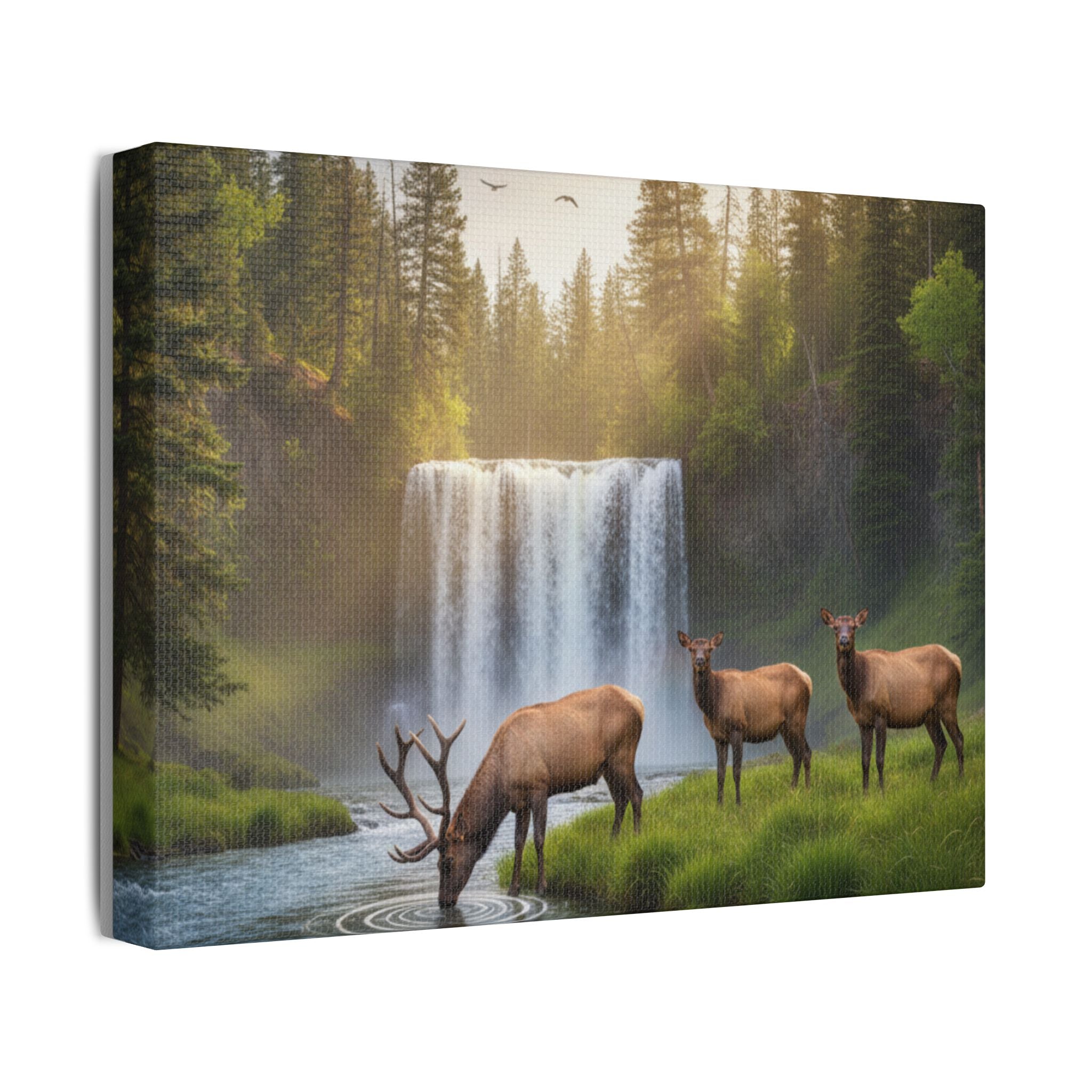 Waterfall Elk Canvas