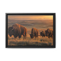 Bison Plains Golden Hour Canvas Wall Art Print Ready to Hang