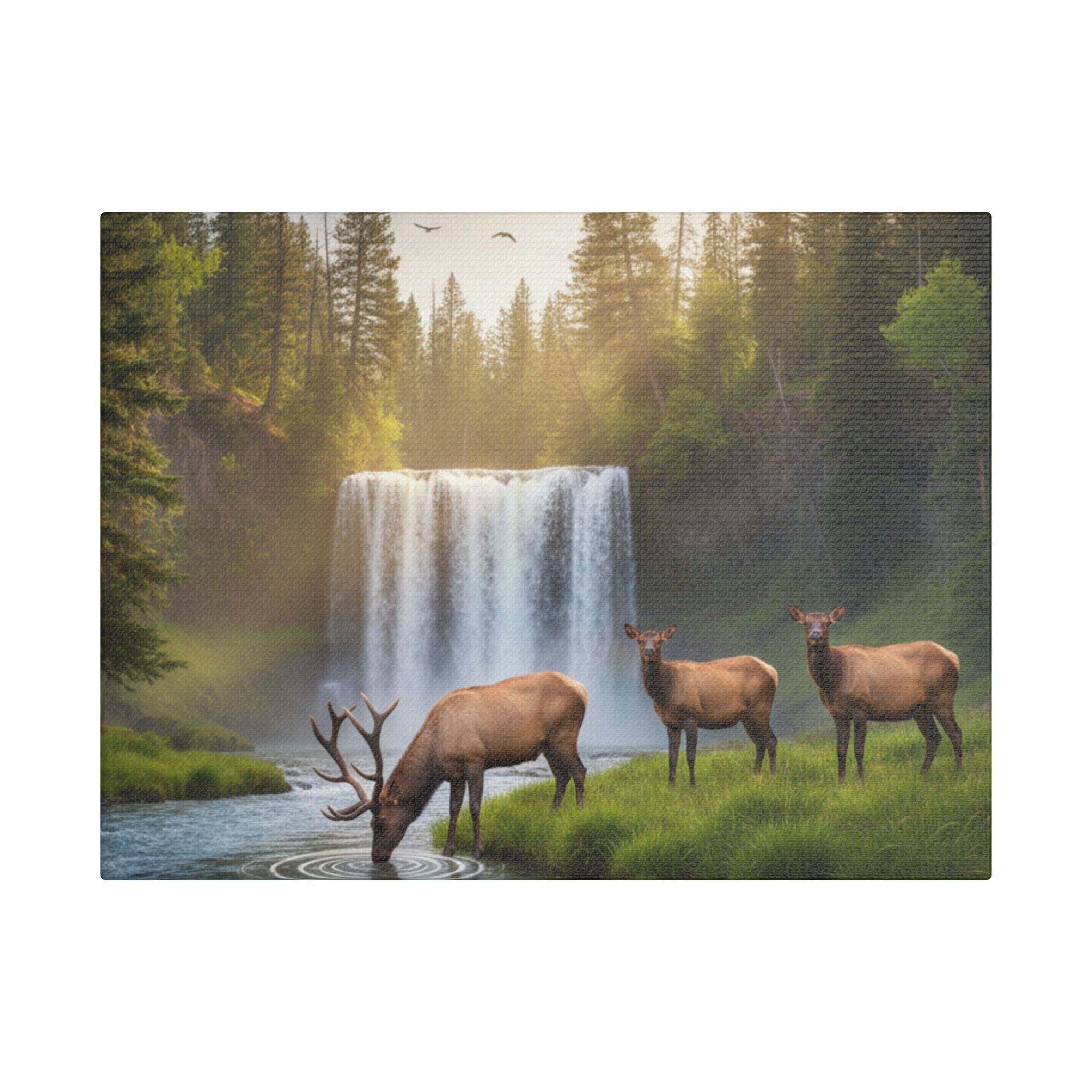 Waterfall Elk Canvas