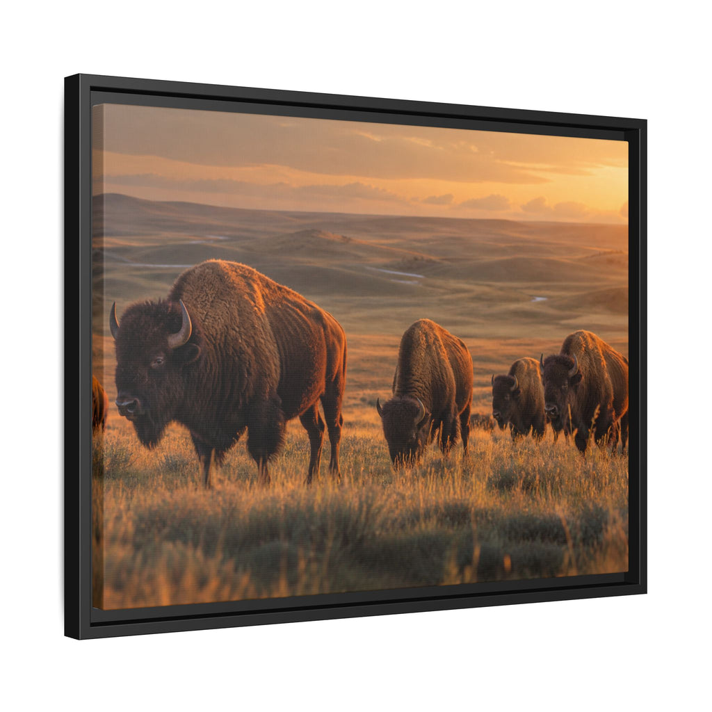 Bison Plains Golden Hour Canvas Wall Art Print Ready to Hang