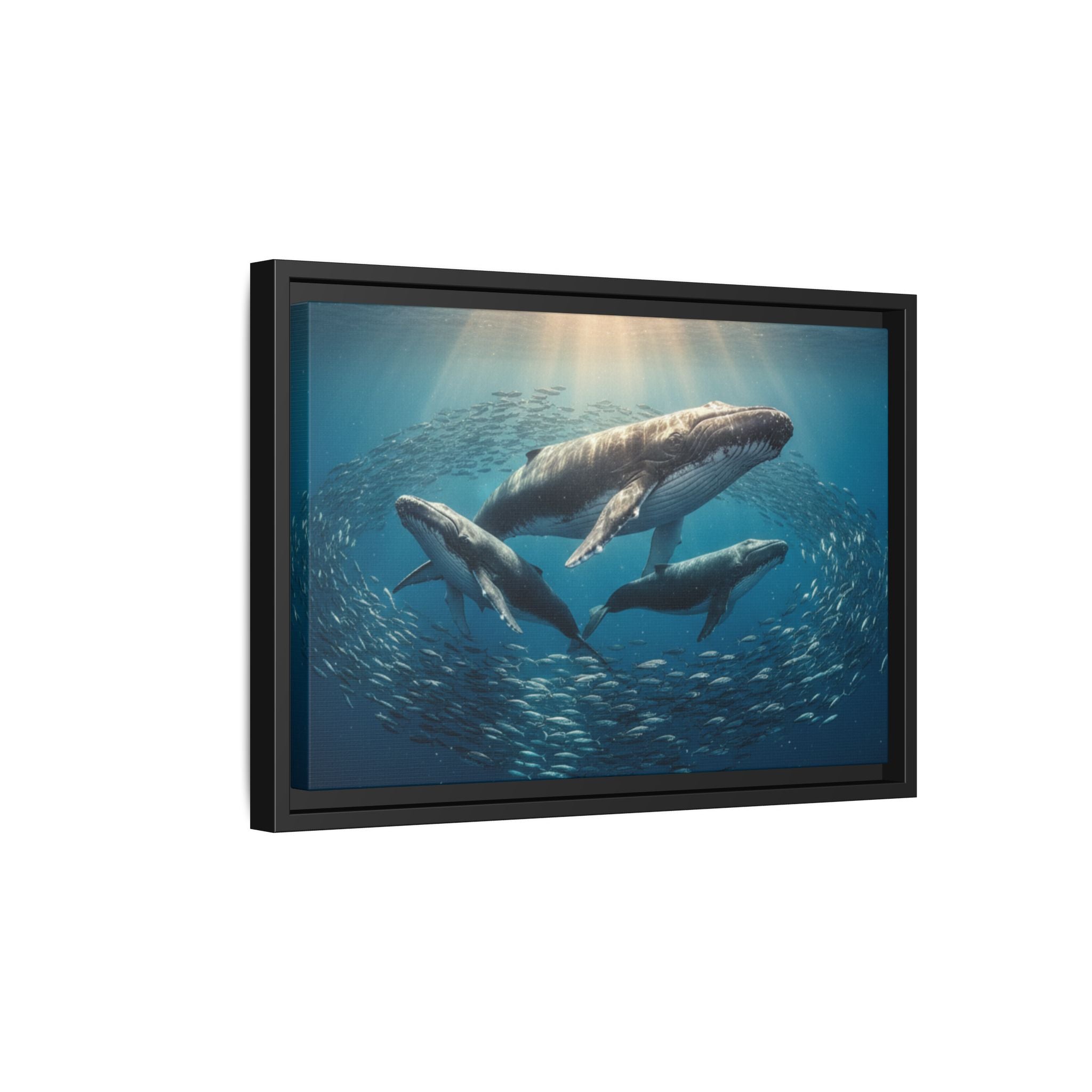 Whale Family Canvas Wall Art - Framed - Stunning