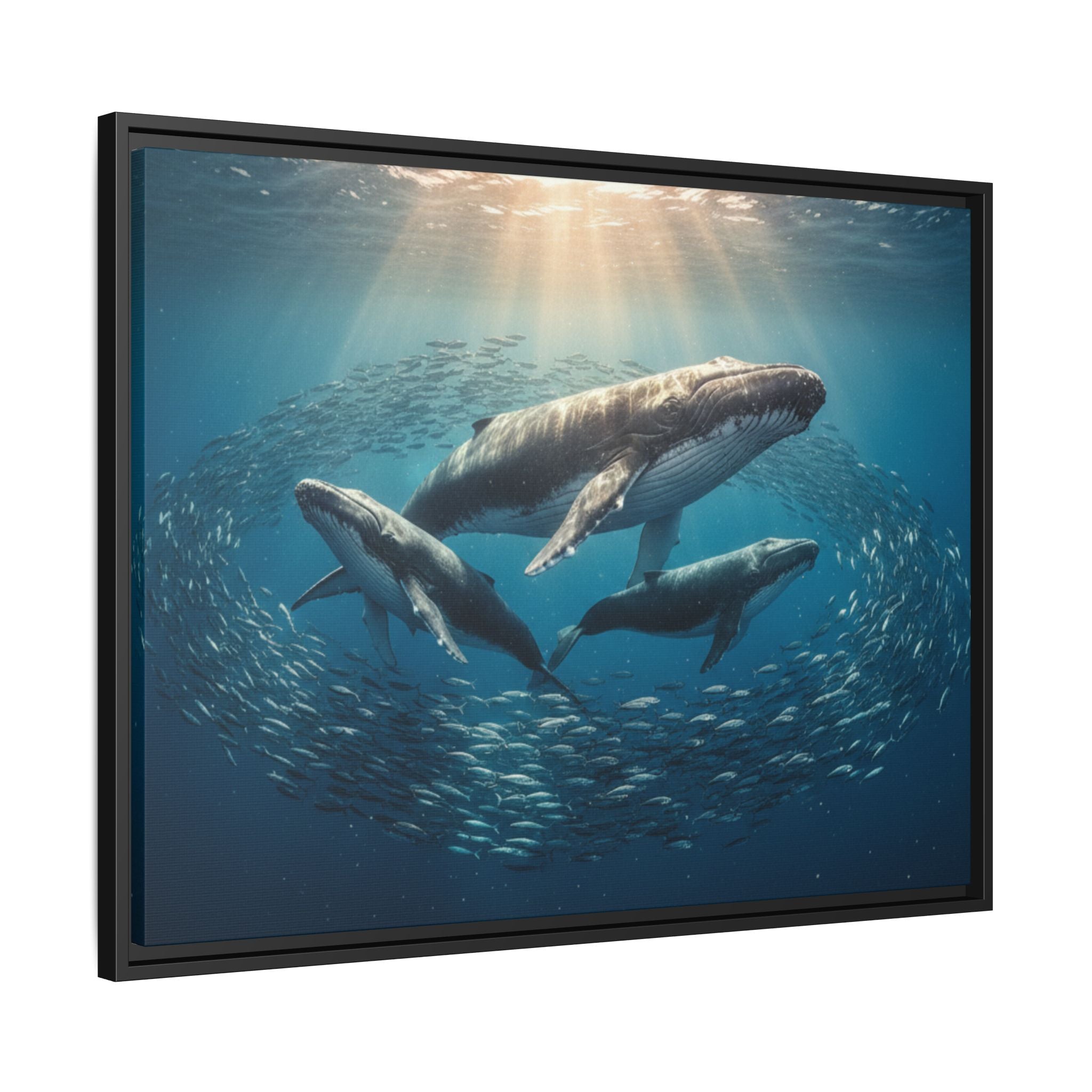 Whale Family Canvas Wall Art - Framed - Stunning