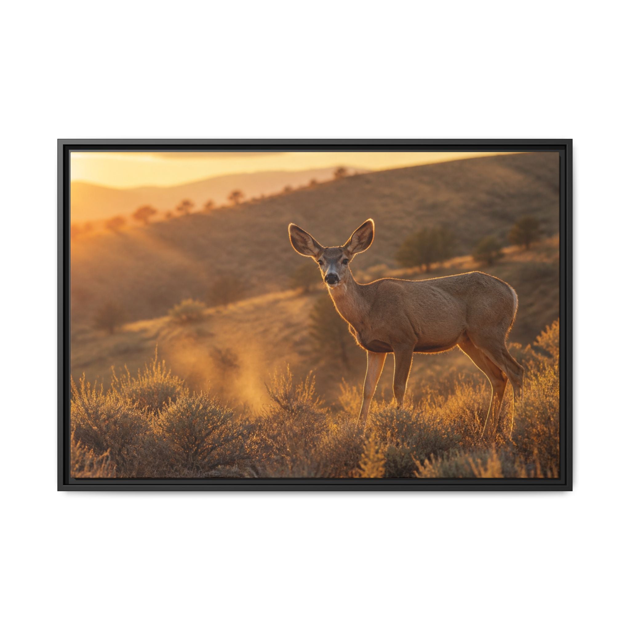 Mule Deer Golden Hour Canvas Wall Art Print Ready to Hang