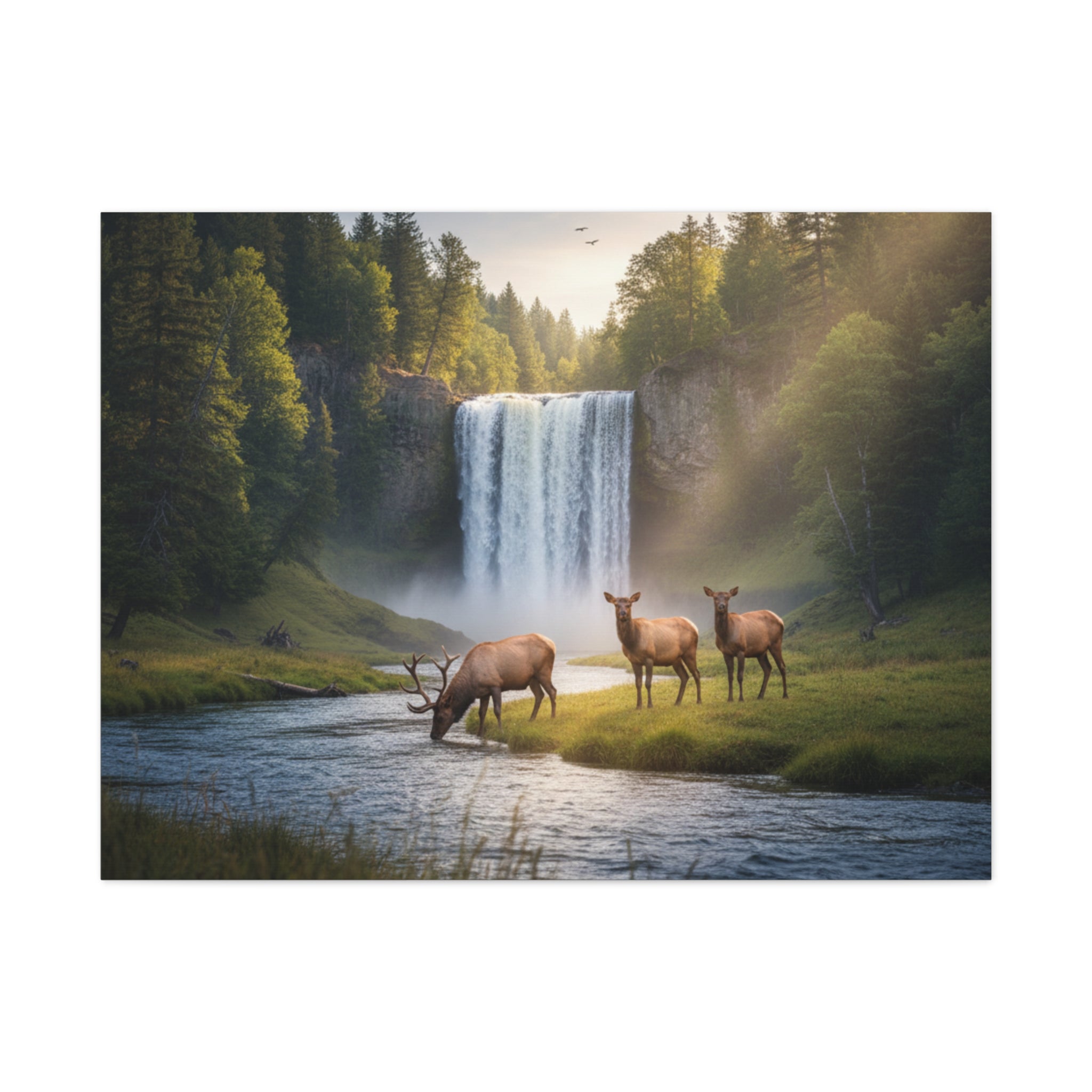 Waterfall Elk Canvas Print — Matte Stretched Wall Art