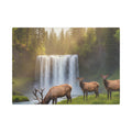 Waterfall Elk Canvas