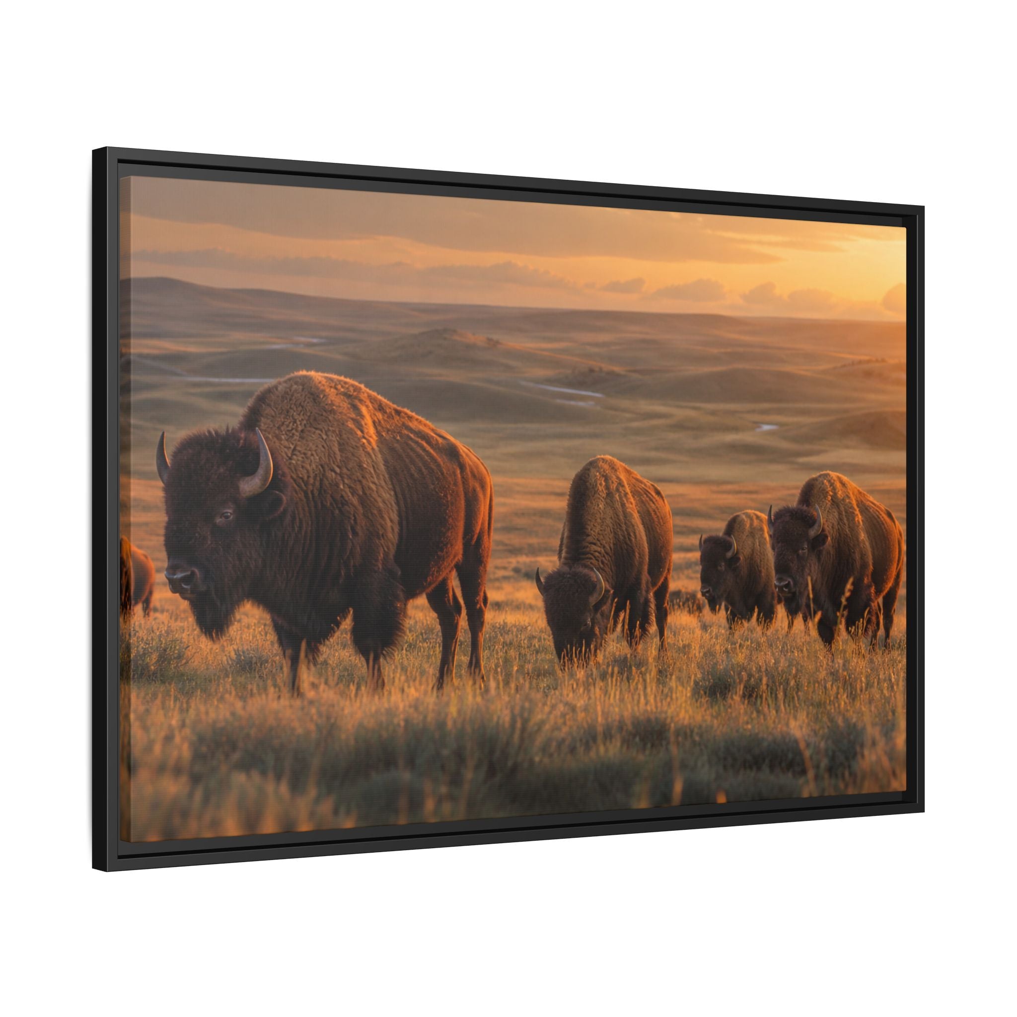 Bison Plains Golden Hour Canvas Wall Art Print Ready to Hang