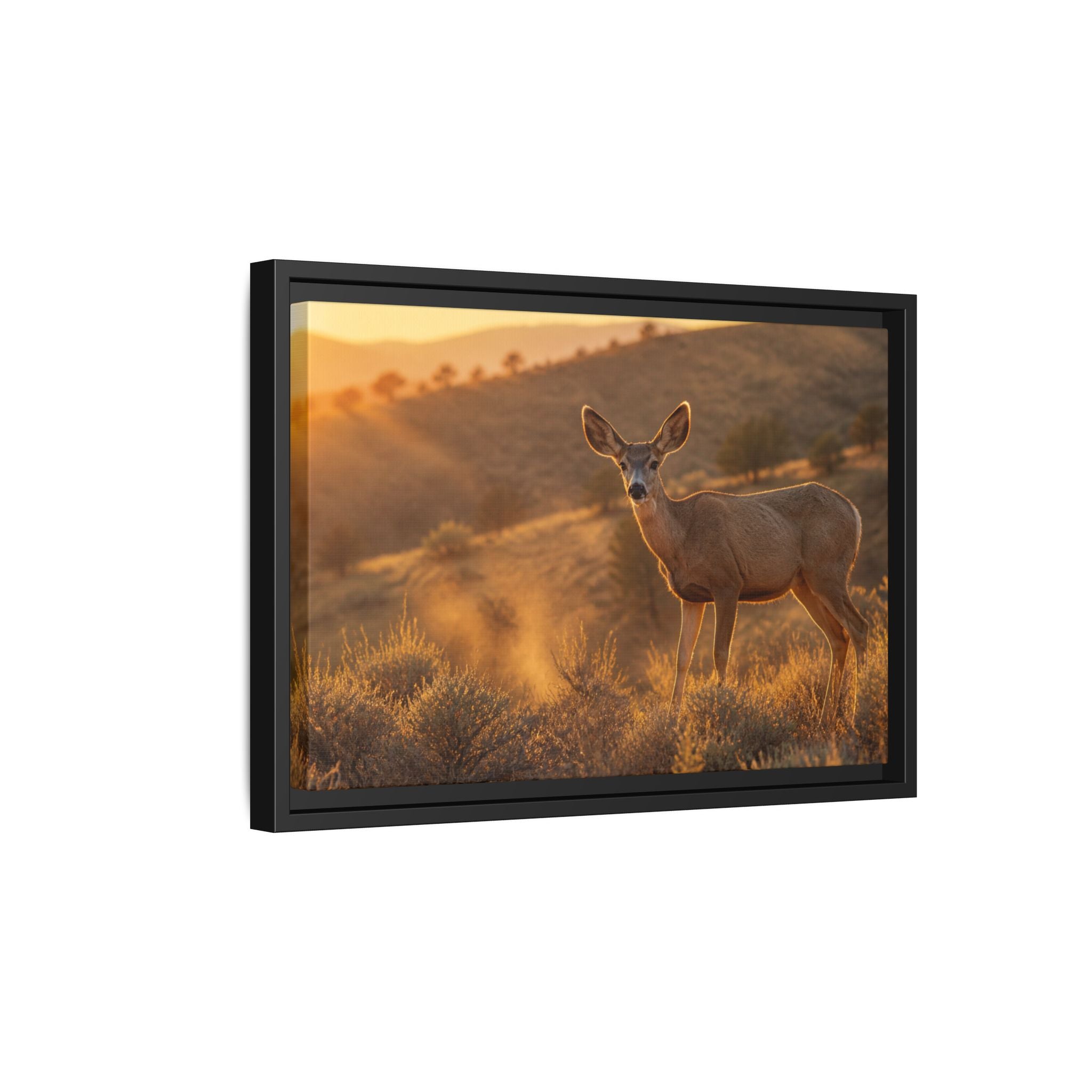 Mule Deer Golden Hour Canvas Wall Art Print Ready to Hang