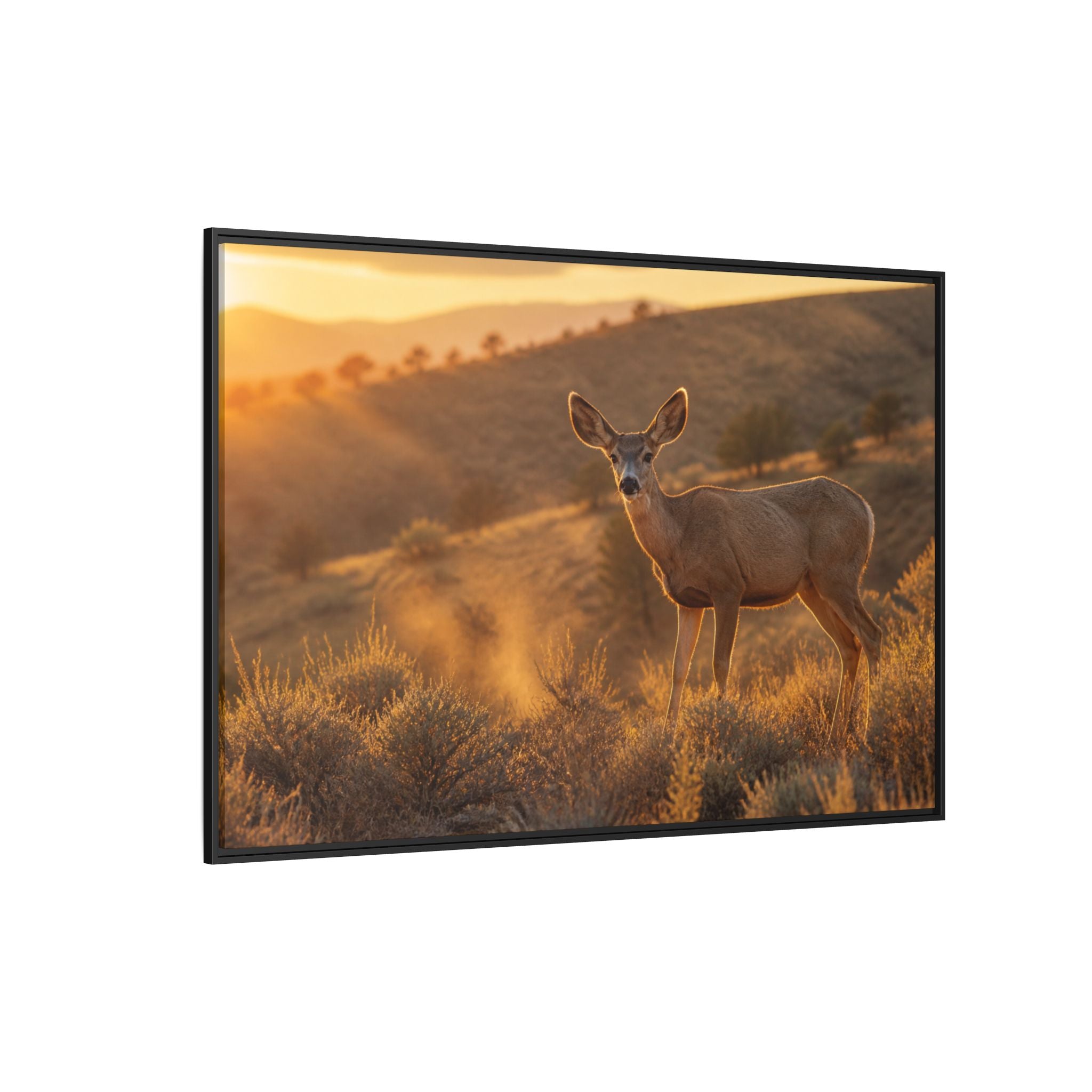 Mule Deer Golden Hour Canvas Wall Art Print Ready to Hang