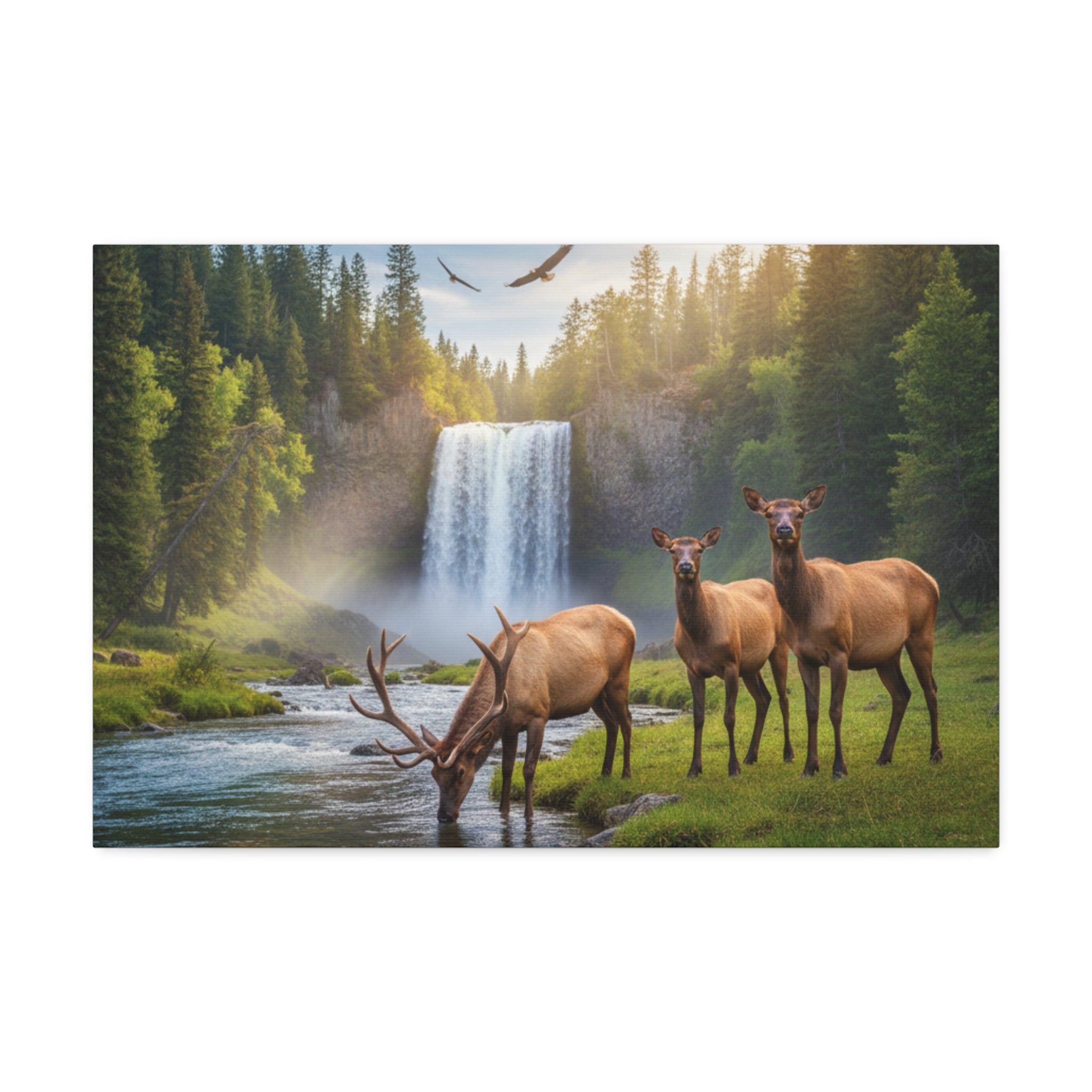 Elk Waterfall Canvas Print — Serene Wildlife Landscape Wall Art, 1.5" Stretched