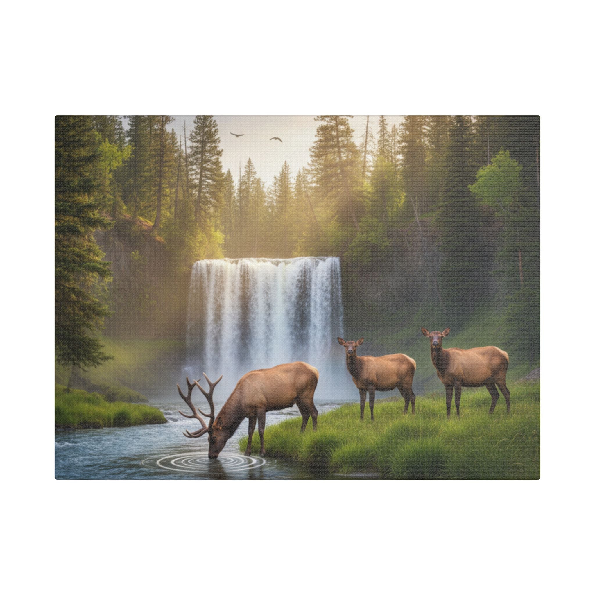 Waterfall Elk Canvas