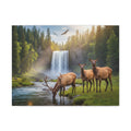 Elk Waterfall Canvas Print — Serene Wildlife Landscape Wall Art, 1.5" Stretched