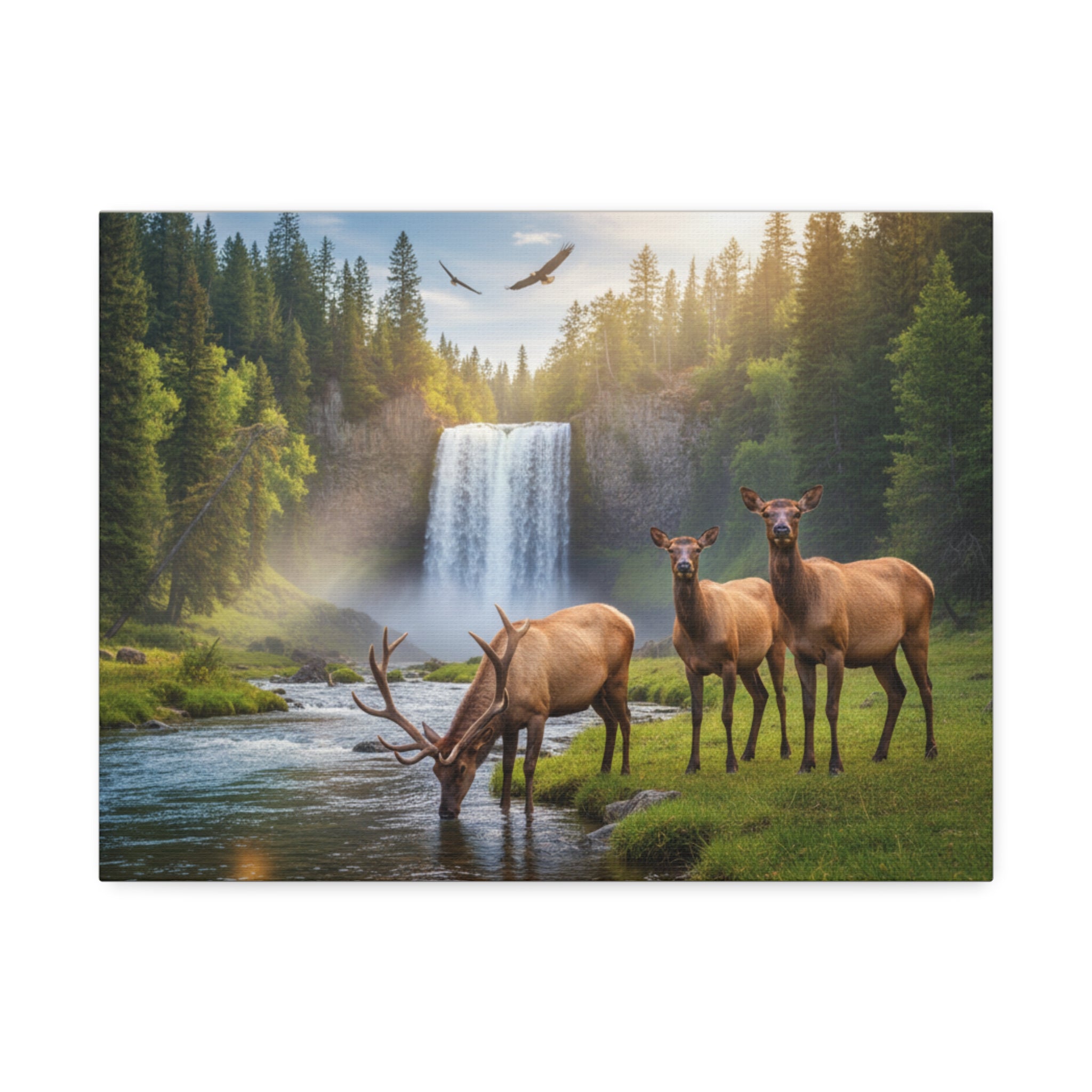 Elk Waterfall Canvas Print — Serene Wildlife Landscape Wall Art, 1.5" Stretched