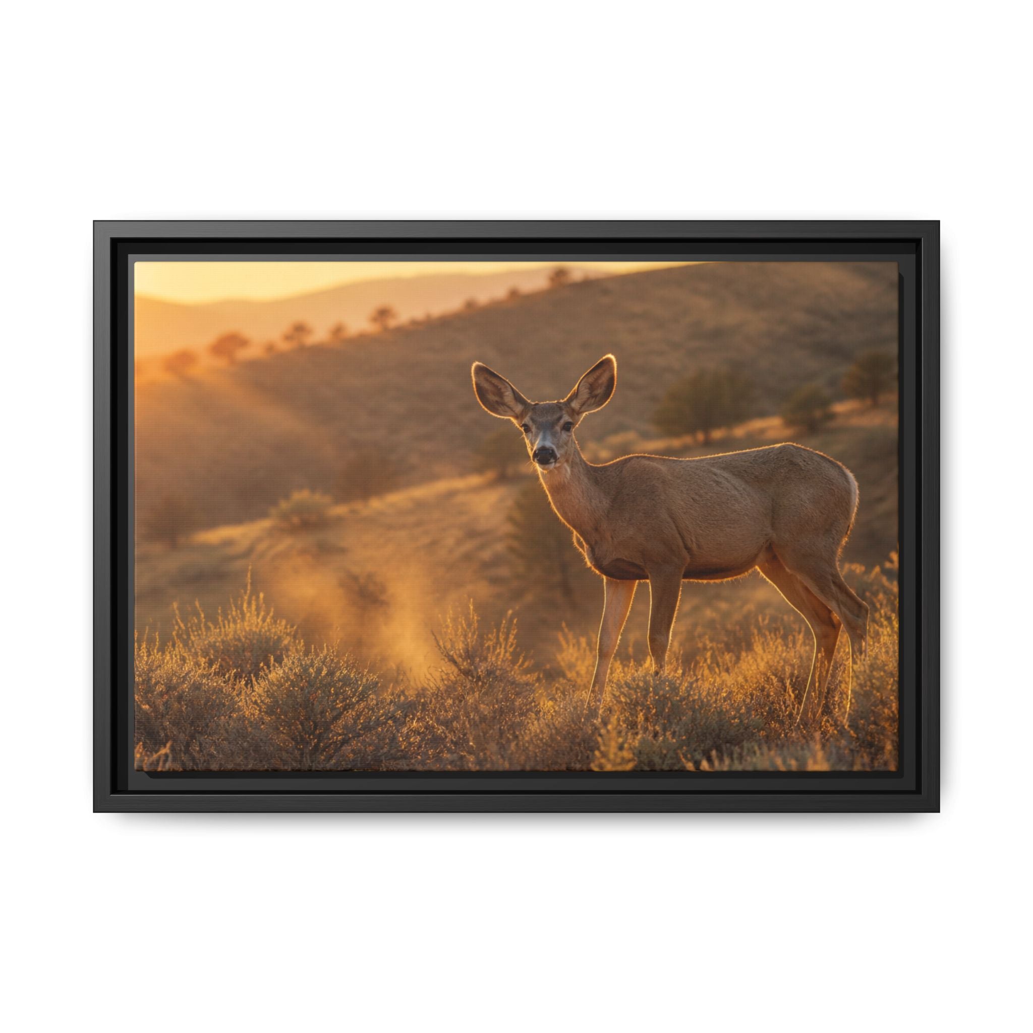 Mule Deer Golden Hour Canvas Wall Art Print Ready to Hang