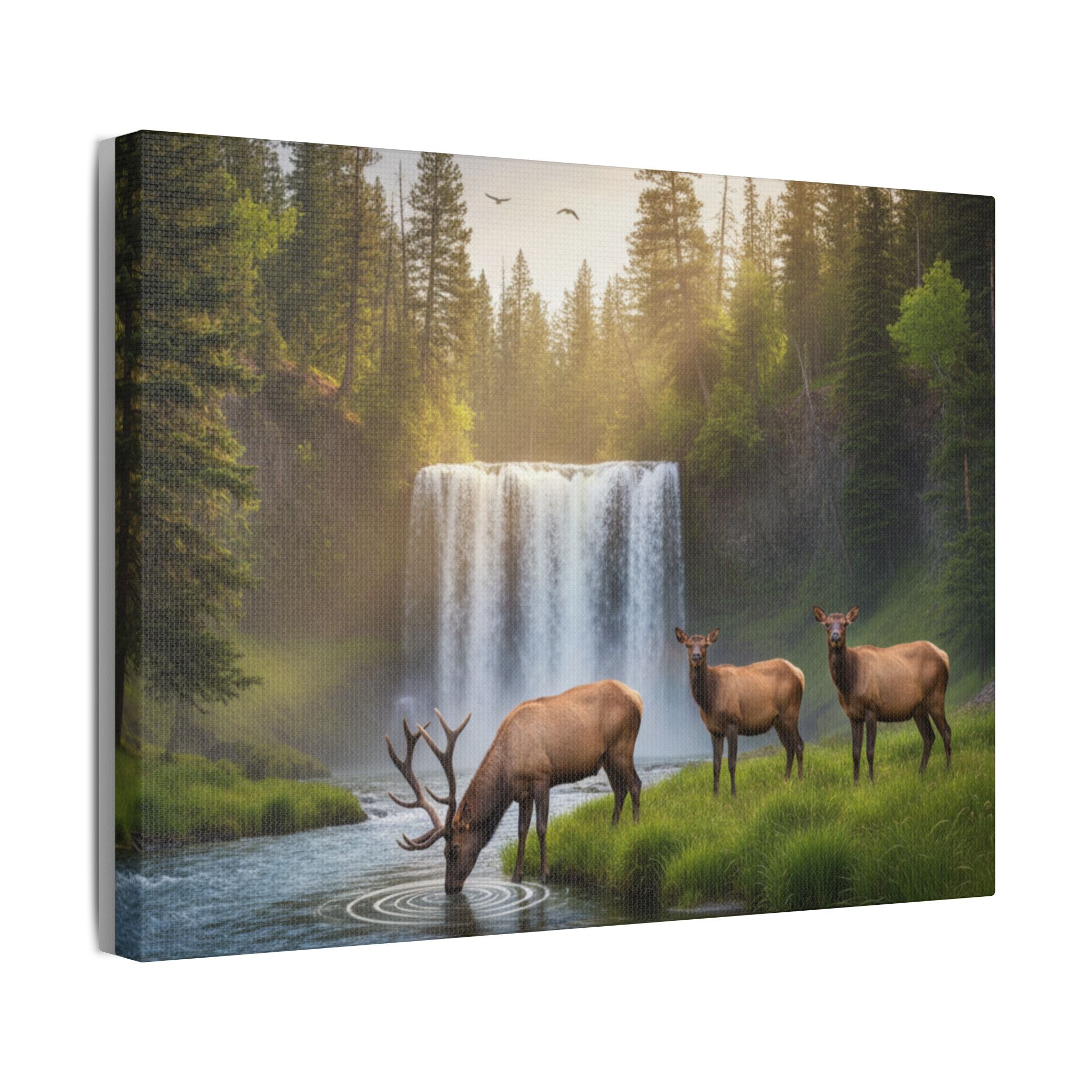 Waterfall Elk Canvas