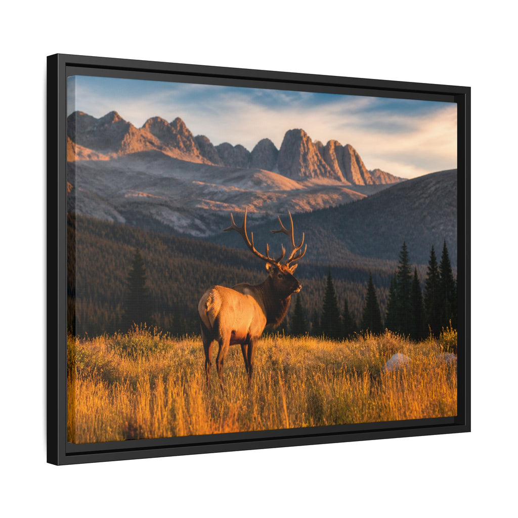 Elk Golden Hour Canvas Wall Art Print Ready to Hang