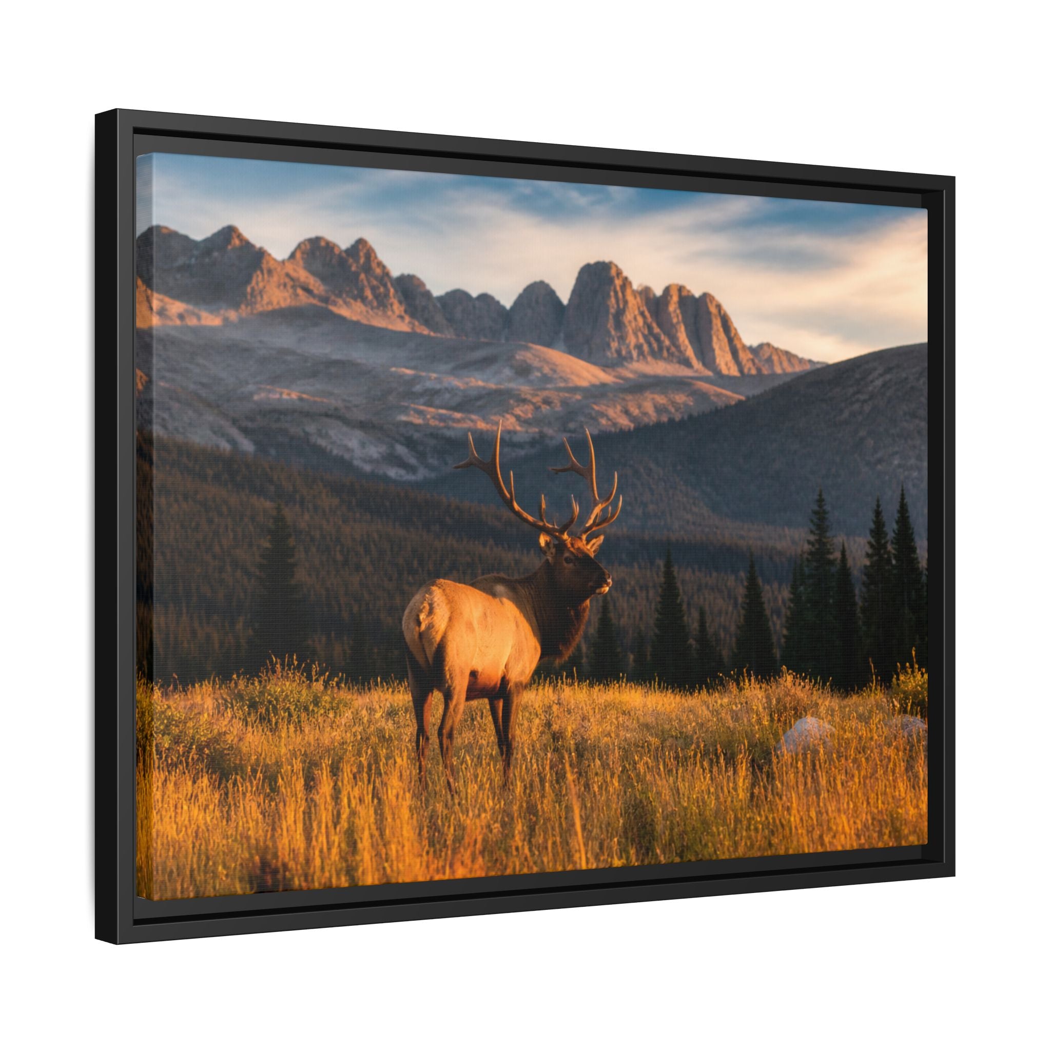 Elk Golden Hour Canvas Wall Art Print Ready to Hang