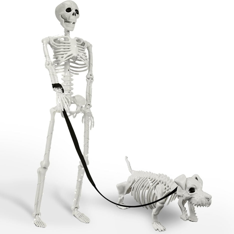 Lighted Human Dog Skeleton Halloween Decorations Outdoor Indoor 36 Inch