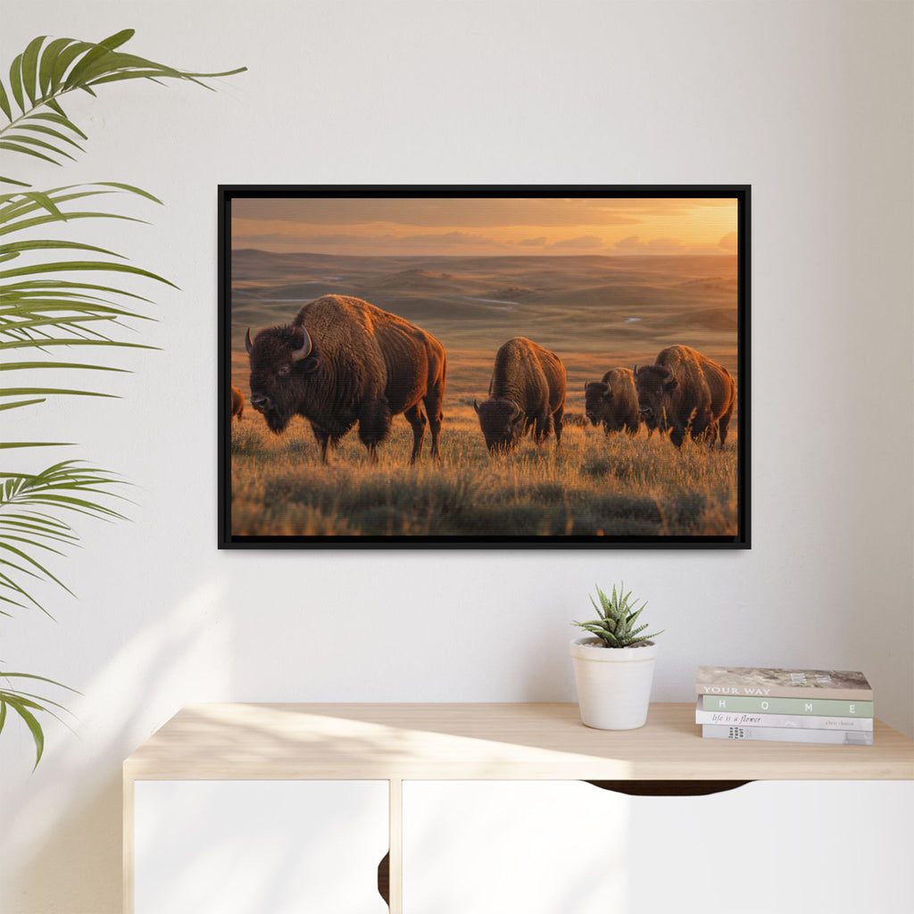 Bison Plains Golden Hour Canvas Wall Art Print Ready to Hang