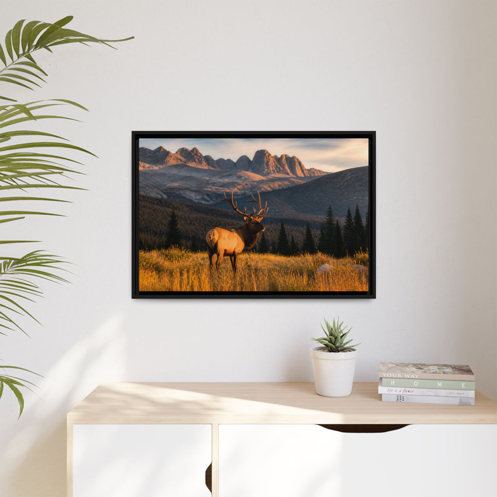 Elk Golden Hour Canvas Wall Art Print Ready to Hang
