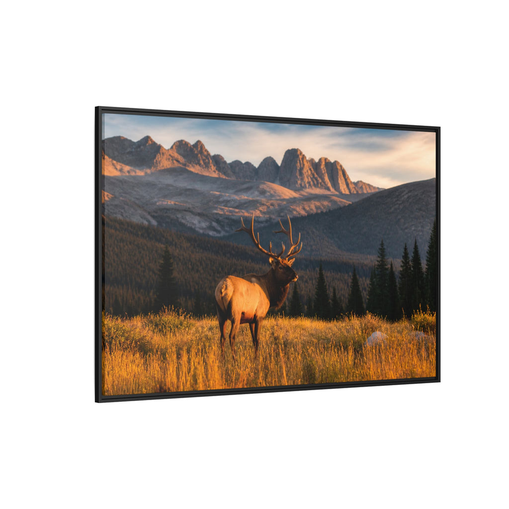 Elk Golden Hour Canvas Wall Art Print Ready to Hang