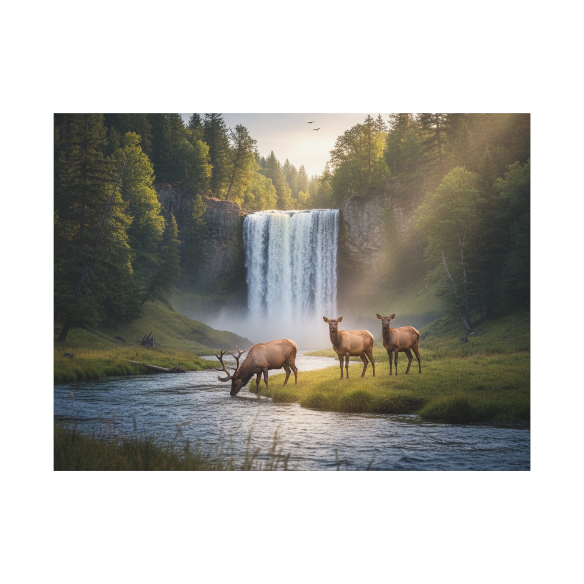 Waterfall Elk Canvas Print — Matte Stretched Wall Art