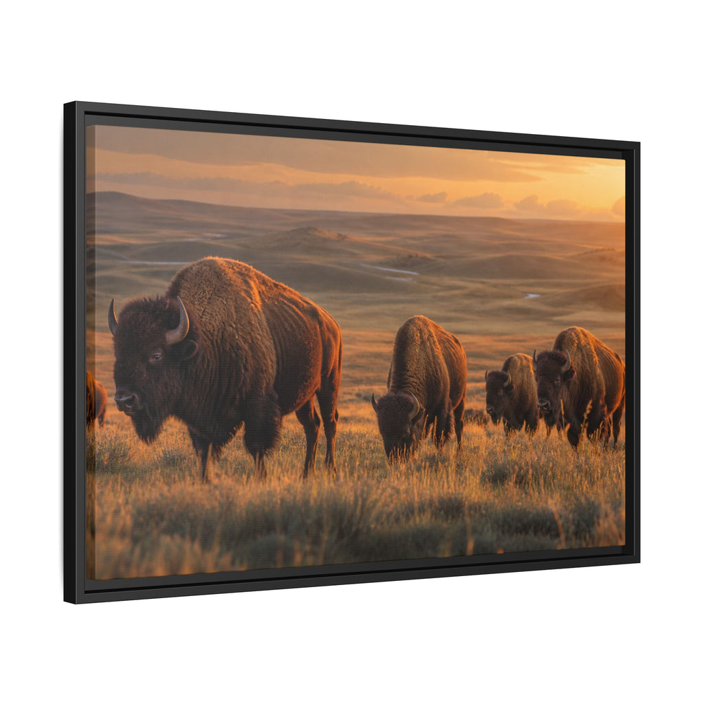 Bison Plains Golden Hour Canvas Wall Art Print Ready to Hang