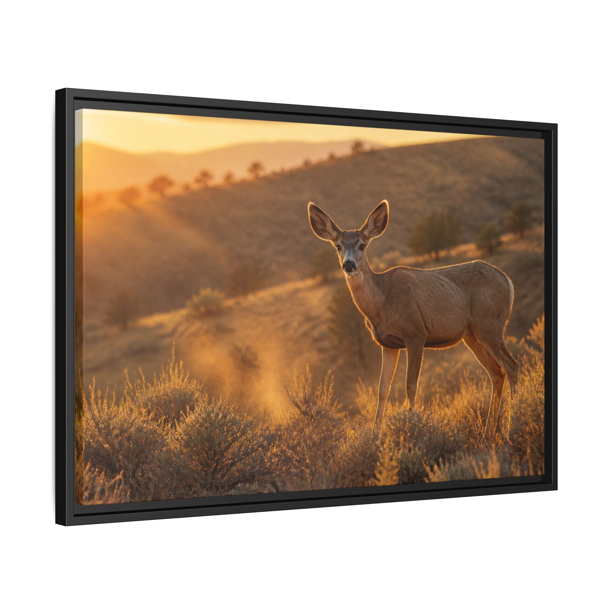Mule Deer Golden Hour Canvas Wall Art Print Ready to Hang