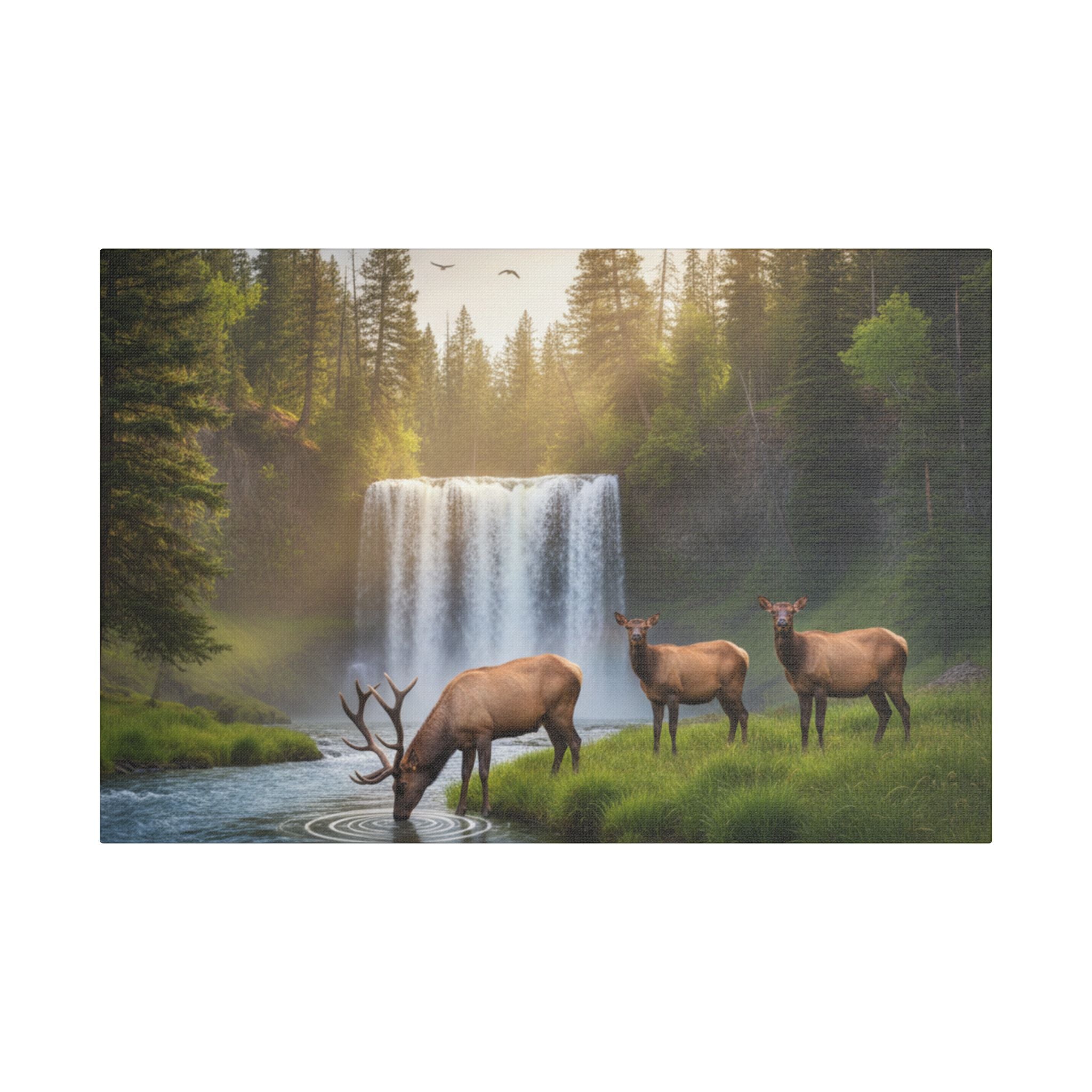 Waterfall Elk Canvas