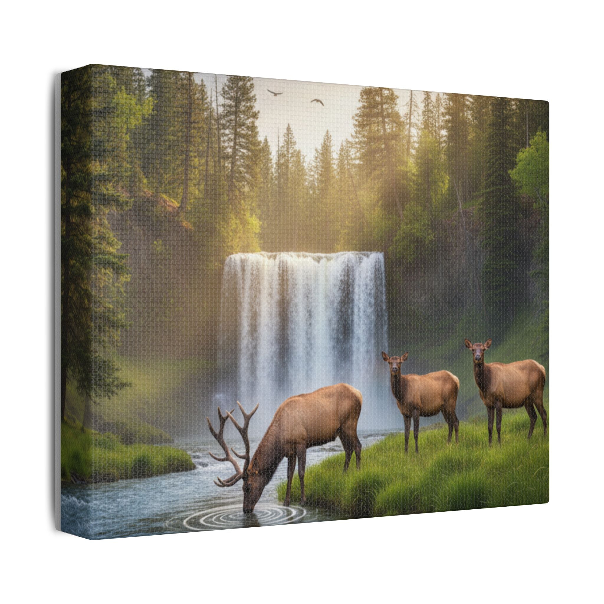 Waterfall Elk Canvas