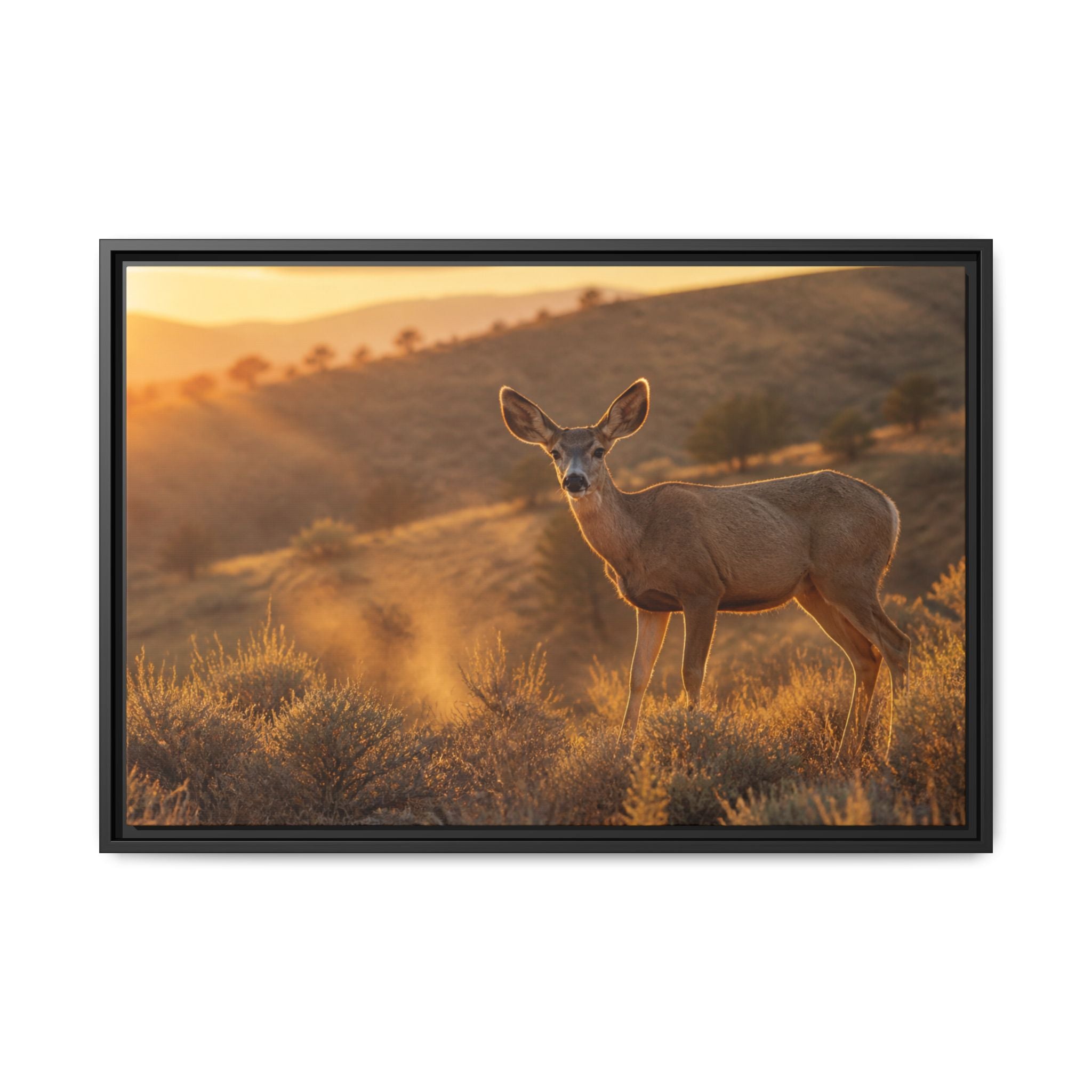 Mule Deer Golden Hour Canvas Wall Art Print Ready to Hang