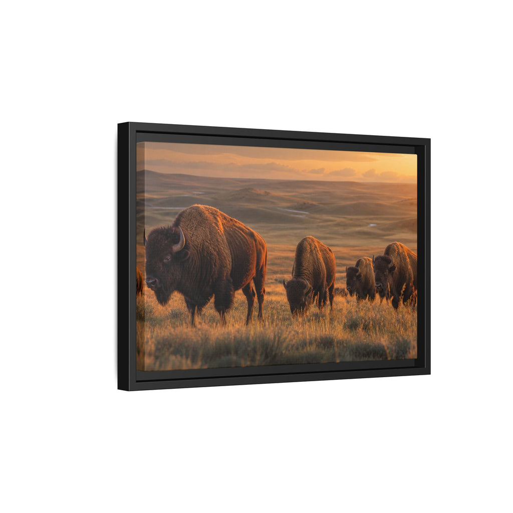 Bison Plains Golden Hour Canvas Wall Art Print Ready to Hang