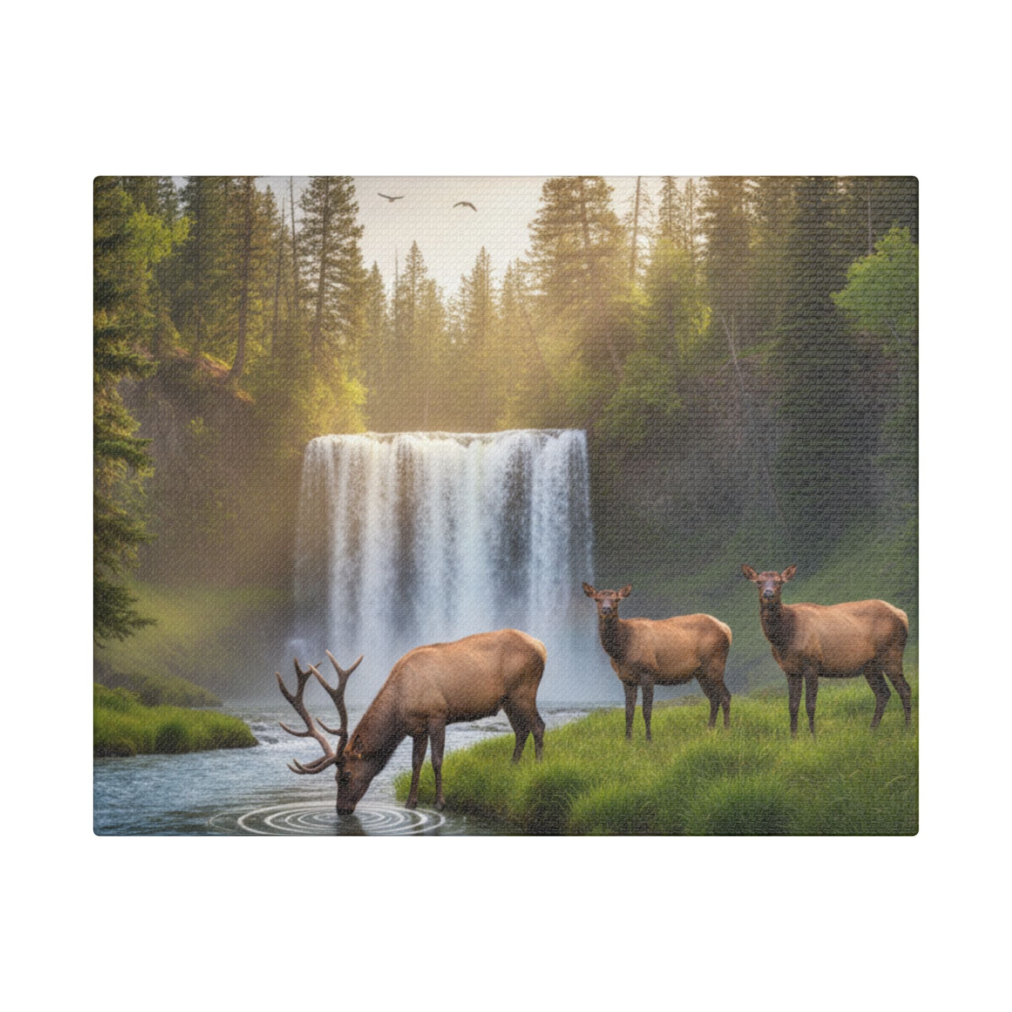 Waterfall Elk Canvas