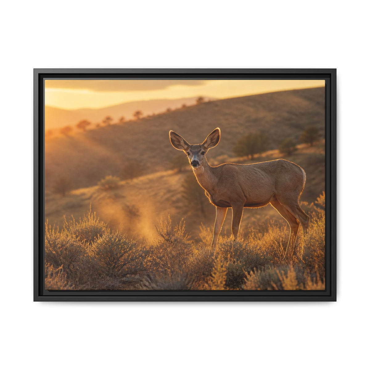 Mule Deer Golden Hour Canvas Wall Art Print Ready to Hang