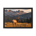Elk Golden Hour Canvas Wall Art Print Ready to Hang