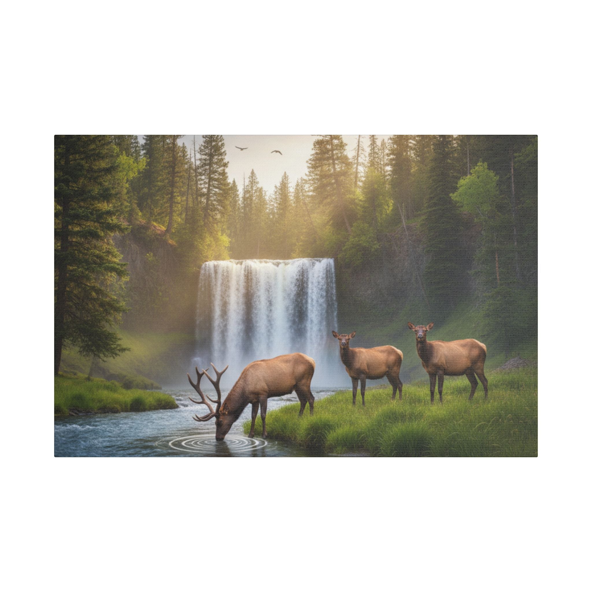 Waterfall Elk Canvas