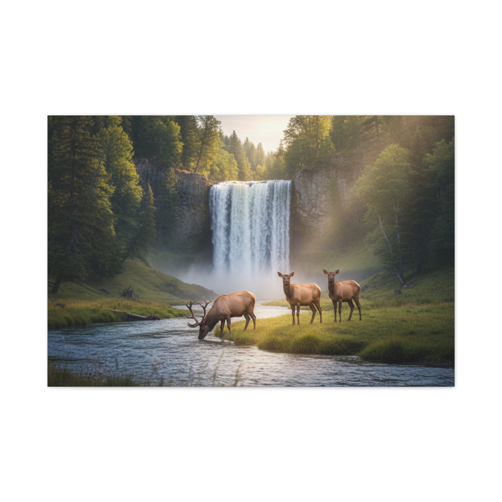 Waterfall Elk Canvas Print — Matte Stretched Wall Art