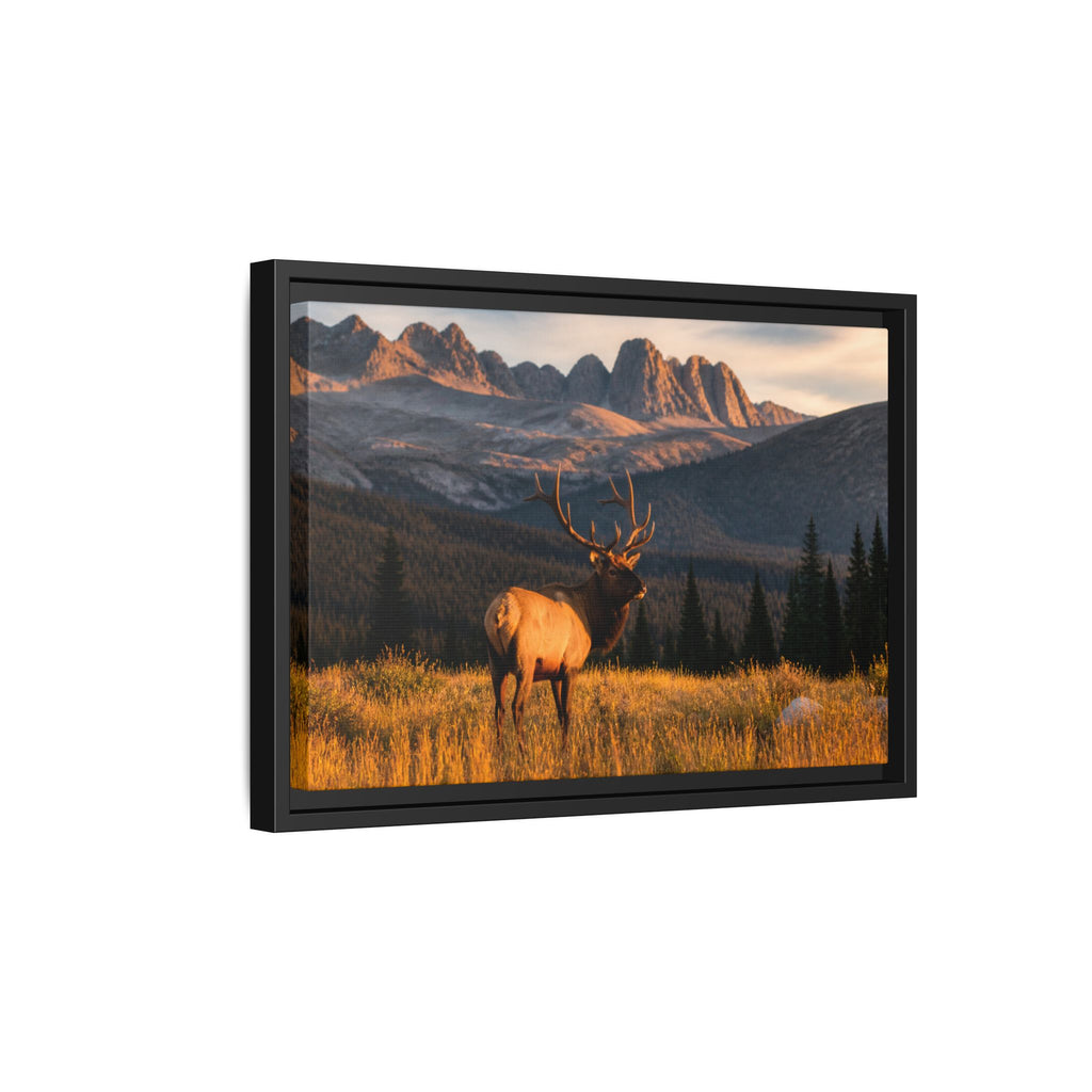 Elk Golden Hour Canvas Wall Art Print Ready to Hang