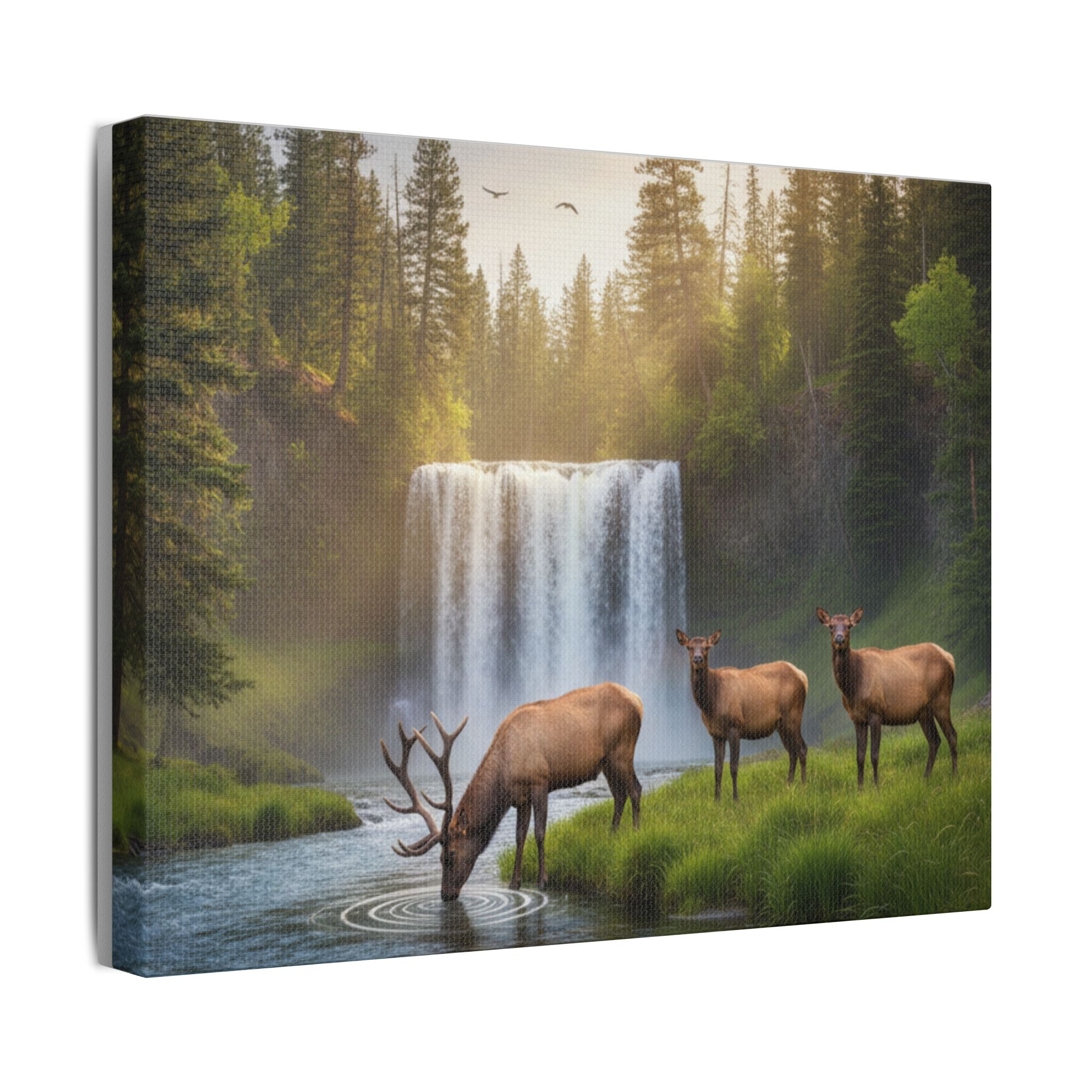 Waterfall Elk Canvas