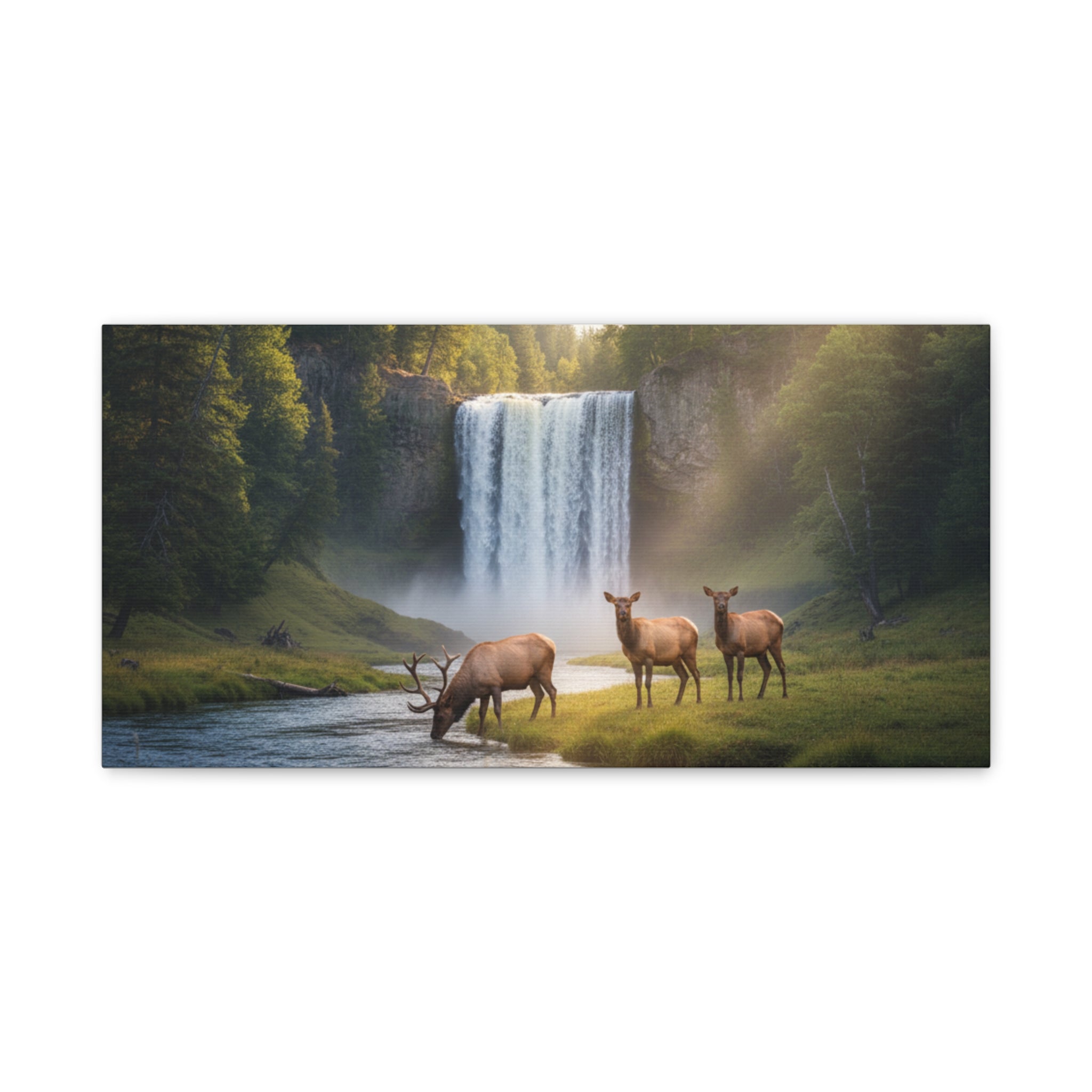 Waterfall Elk Canvas Print — Matte Stretched Wall Art