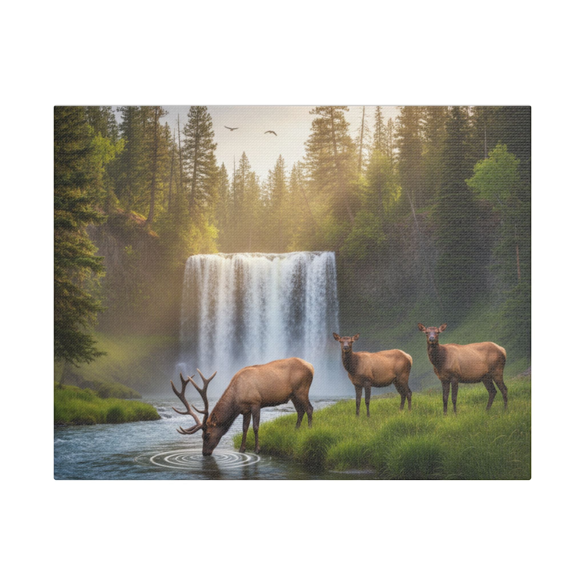 Waterfall Elk Canvas